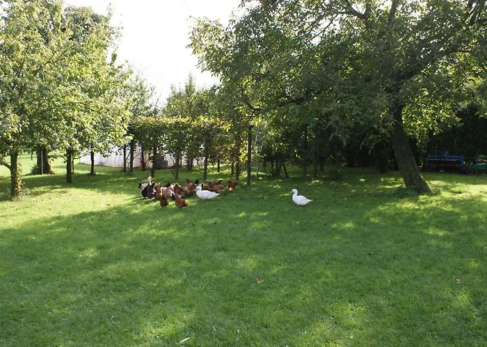 Pensjonat Agrogosia 3*