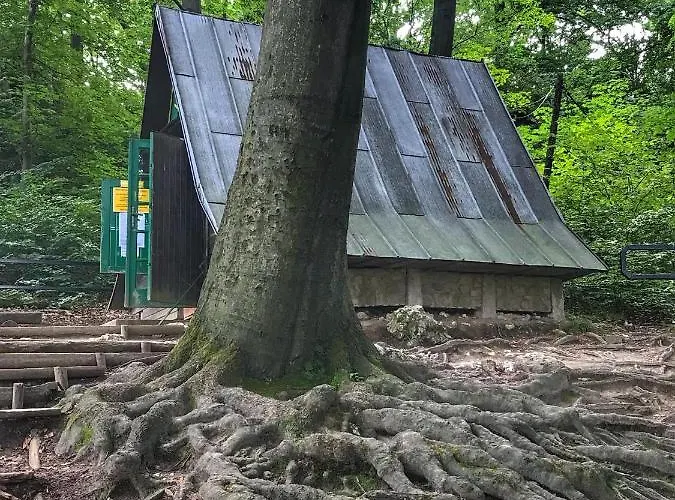 Agrogosia Gæstehus 3*